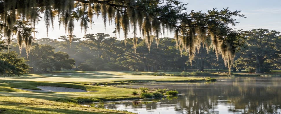 Oak trees and Spanish moss overlooking a sunlit golf course